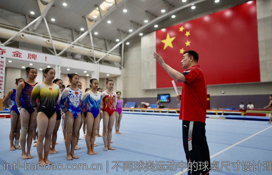 不同球类运动中的球桌尺寸设计理念比较